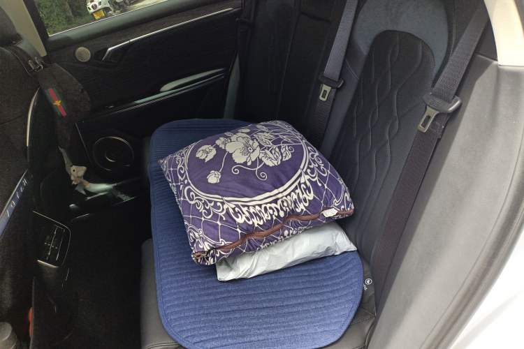 Used VOYAH FREE 2024 Ultra-Long Range Intelligent Driving Version Left Rear Seat