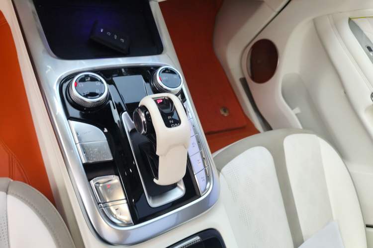 Used Cyberspace Tank 300 2021 2.0T Cyber Tank
