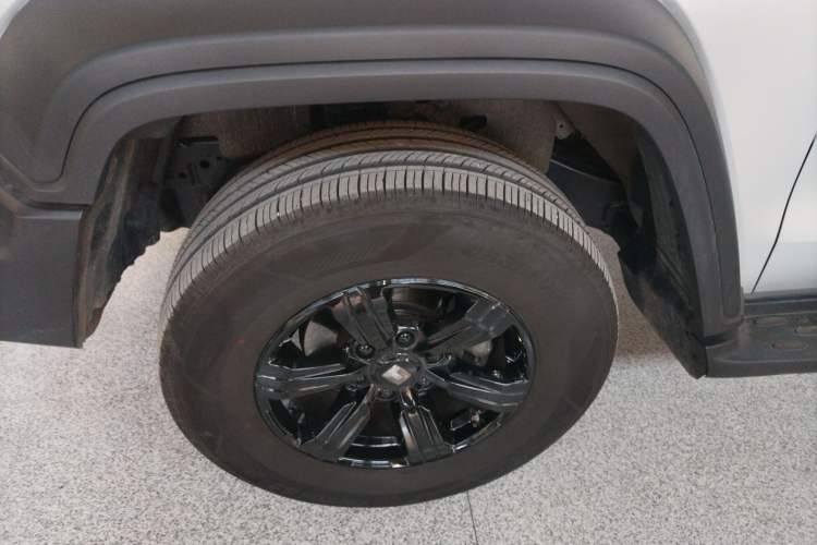 Used Tank 300 2024 2.0T Conqueror