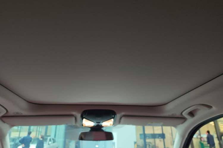 Used BMW 3 Series 2024 325Li M Sport Package Headliner