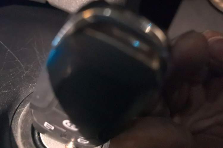 Used Ford F-150 Raptor 2019 3.5T LTD
