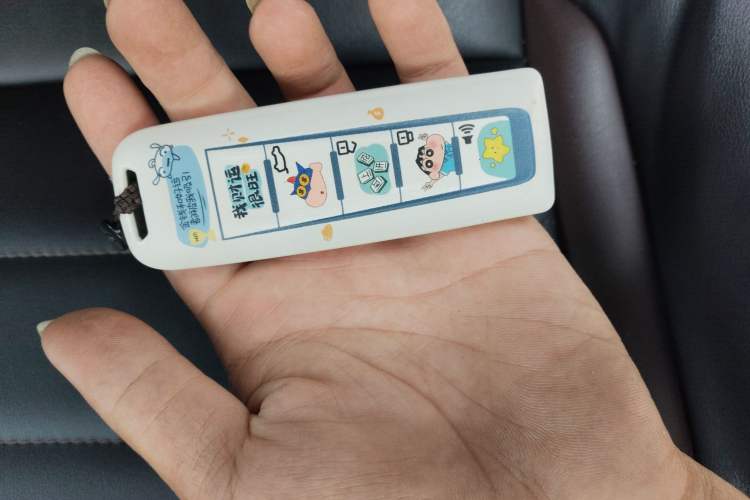 Used Wey VV5 2021 1.5T Two-Wheel Drive Smart Pioneer Vehicle Key