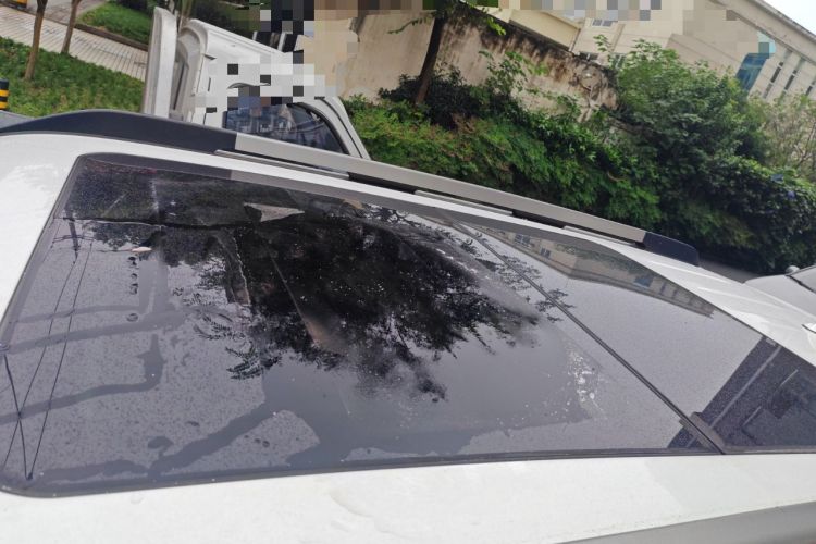 Used Haval DARGO 2021 1.5T DCT Two-Wheel Drive Labrador Edition