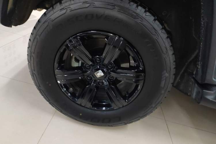 Used Tank 300 2024 2.0T Conqueror
