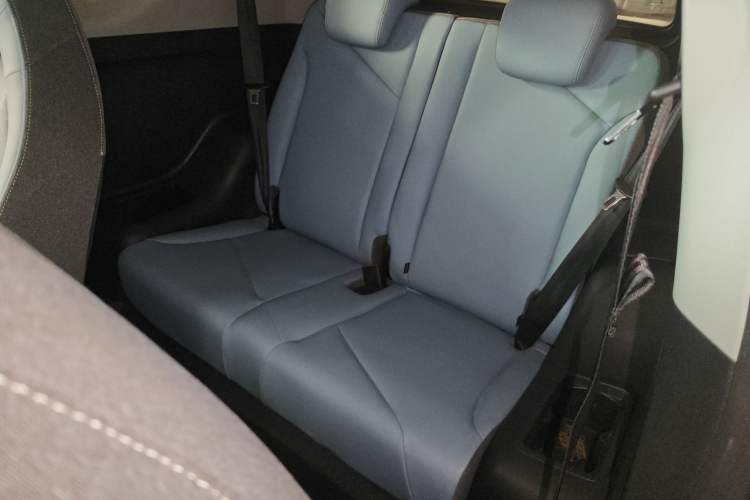 Used Chery Little Ant 2023 251km True Love Edition Lithium Iron Phosphate