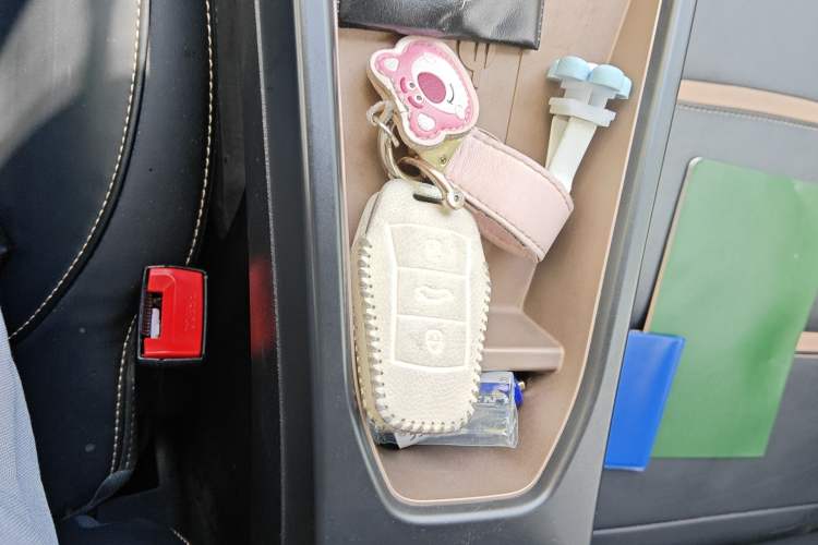 Used SOL E10X 2022 Flower Fairy Design Four-Leaf Clover