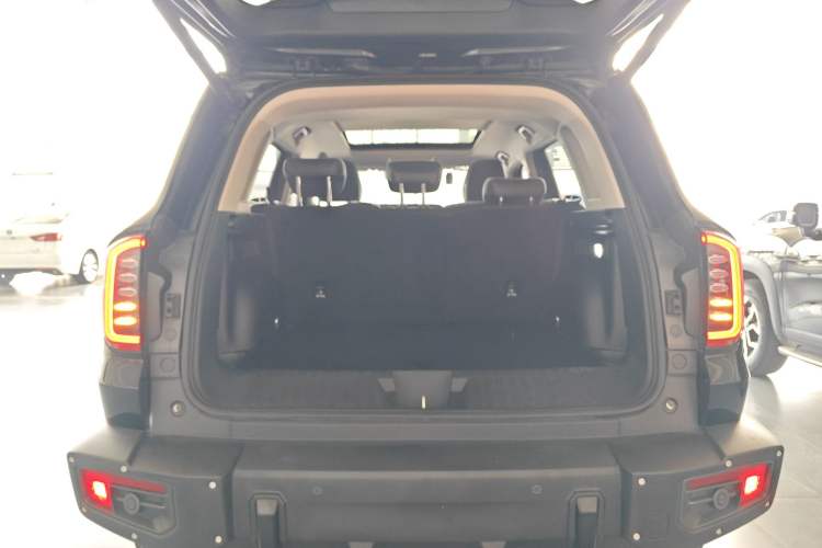 Used Haval DARGO 2024 2.0T DCT Chinese Rural Dog Edition
