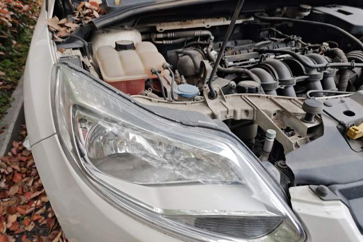 Used Ford Focus 2012 Sedan 1.6L Automatic Fashion Edition Right Front Headlight