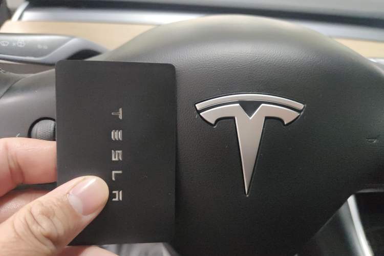 Used Tesla Model 3 (Import) 2019 Long-Range Rear-Wheel-Drive Version