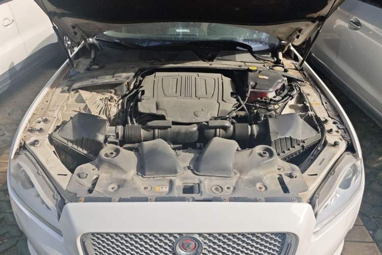 Used Jaguar XJ 2014 XJL 3.0 SC Two-Wheel-Drive Flagship Business Edition