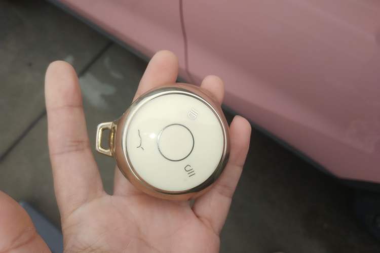 Used NETA V 2021 Long-Range Industry Custom Edition
