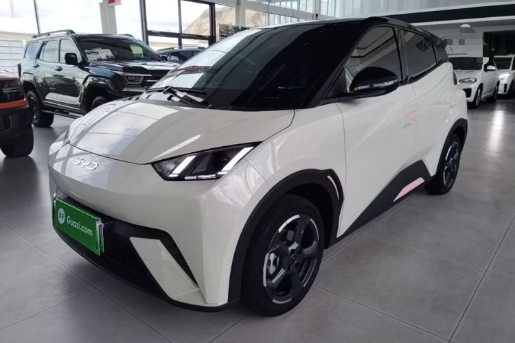 Used BYD Seagull 2024 Honor Edition 305km Freedom Version