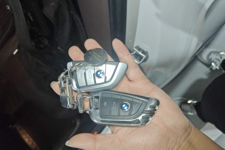 Used BMW 5 Series 2019 Facelifted 530Li Leading Edition Luxury Package Vehicle Key