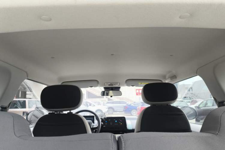 Used Qiyuan Lumin 2023 205km Xiangqin Version