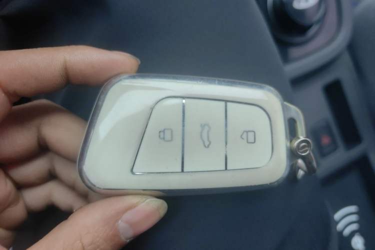 Used Chery Little Ant 2022 Sweet Pink Edition Half-Sugar Version Lithium Iron Phosphate 29.2 kWh 30 kW 301 km