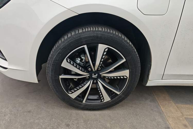 Used Rising ER6 2021 New Dynamic Edition 620km Smart Enjoyment Version
