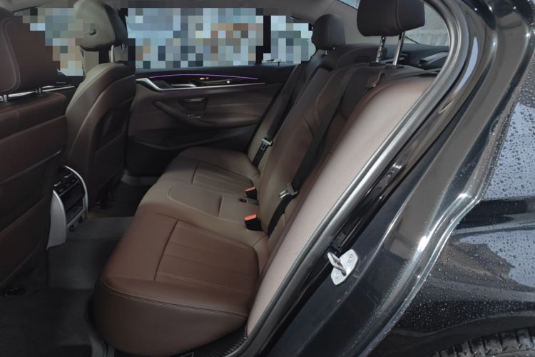 Used BMW 5 Series 2019 525Li Luxury Package Left Rear Seat