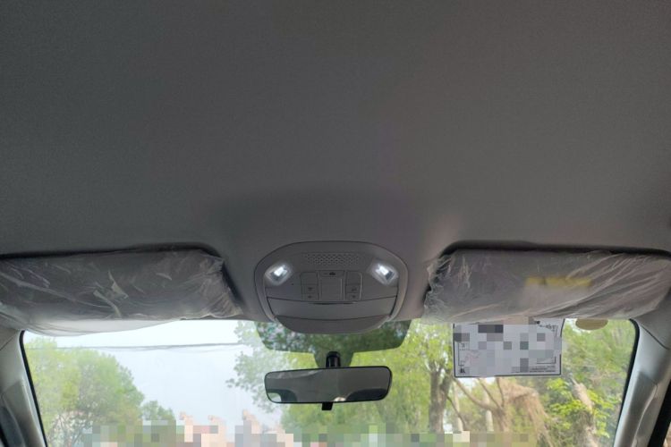 Used Sinotruk BOLDEN 2024 Commercial 2.0T Manual Diesel 4x4 Long Wheelbase Youth Edition
