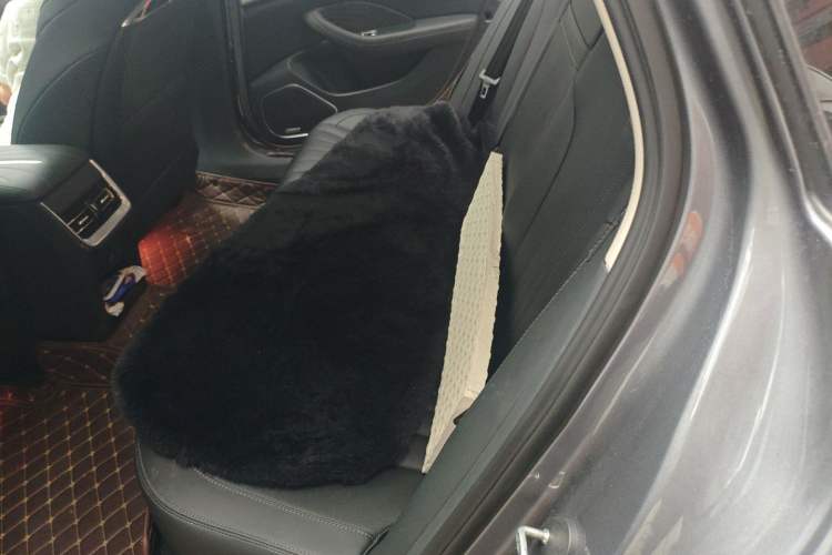 Used Hongqi H5 2023 2.0T Automatic Smart Connect Flagship Edition