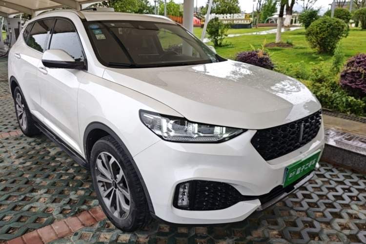 Used Wey VV6 2019 2.0T Two-Wheel-Drive Ultra-Luxury Version China VI Standard