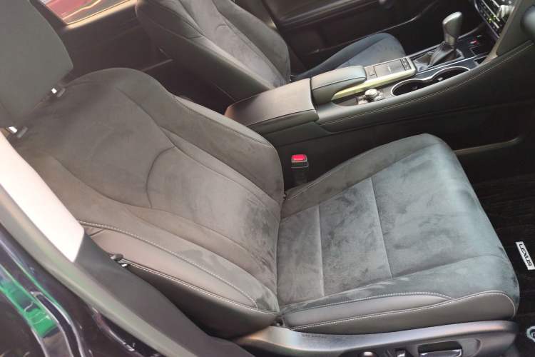 Used Lexus RX 2020 Revised Version 300 Two-Wheel Drive Elite Edition Right Front Seat