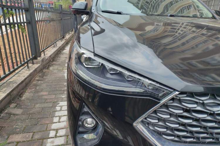 Used Haval F7 2020 2.0T Two-Wheel Drive i-Van