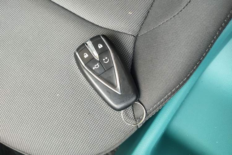 Used Qiyuan Lumin 2022 301km Honey-Sweet Version