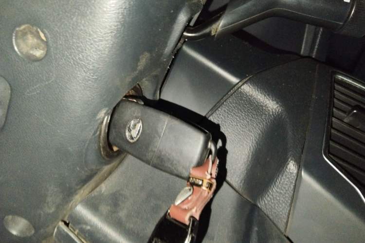 Used Leopaard Q6 2015 2.4L Manual Two-Wheel-Drive Elite Model