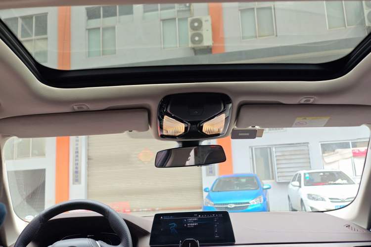 Used BMW 5 Series New Energy 2019 530Le Luxury Package