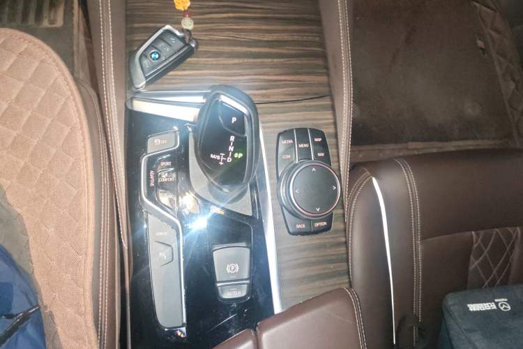 Used BMW 5 Series New Energy 2019 530Le Luxury Package
