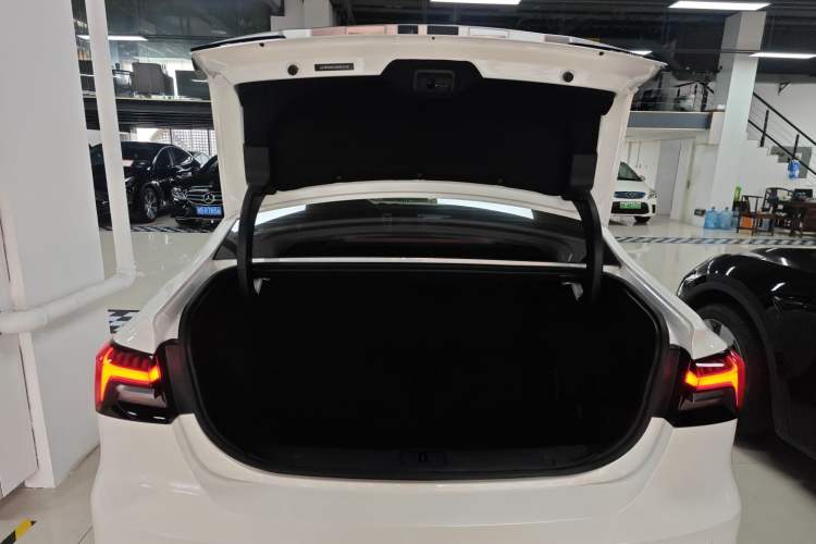 Used Rising ER6 2021 New Dynamic Edition 620km Smart Drive Version
