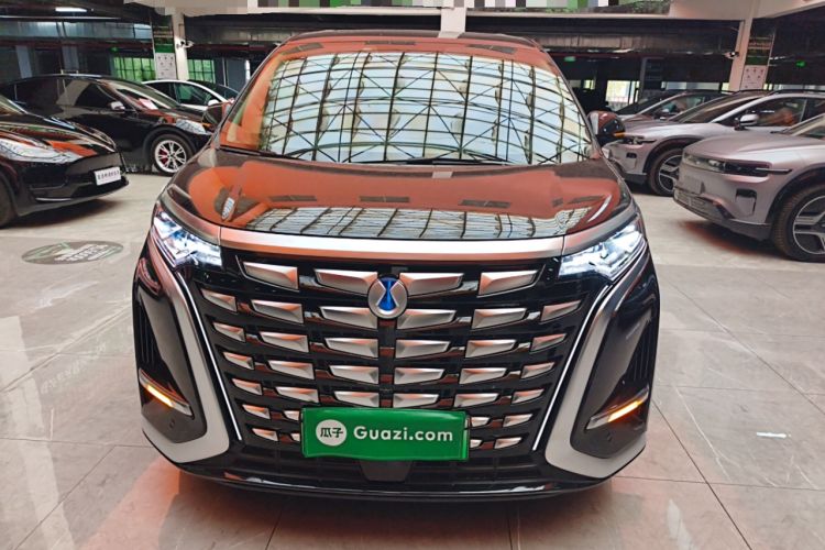 Used Denza D9 2024 DM-i 980 Four-Wheel Drive Prestige Model
