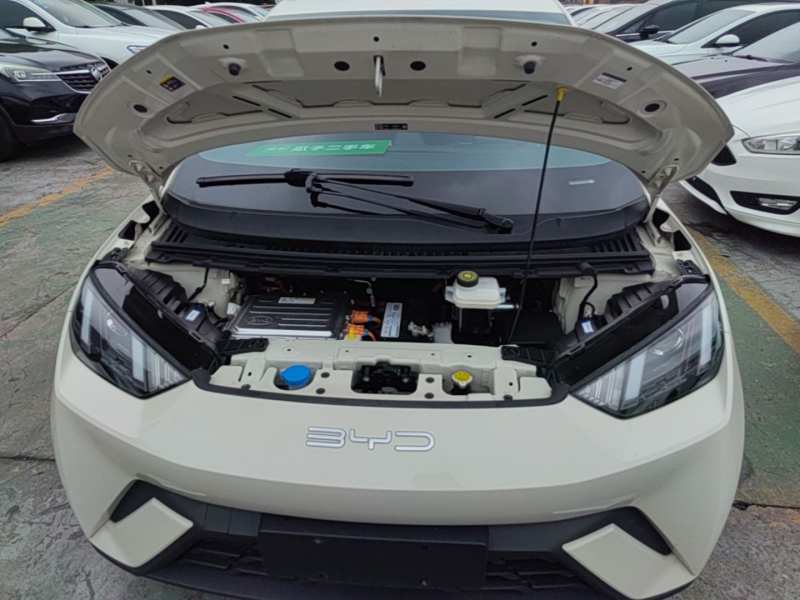 Used BYD Seagull 2023 Active Version — 19