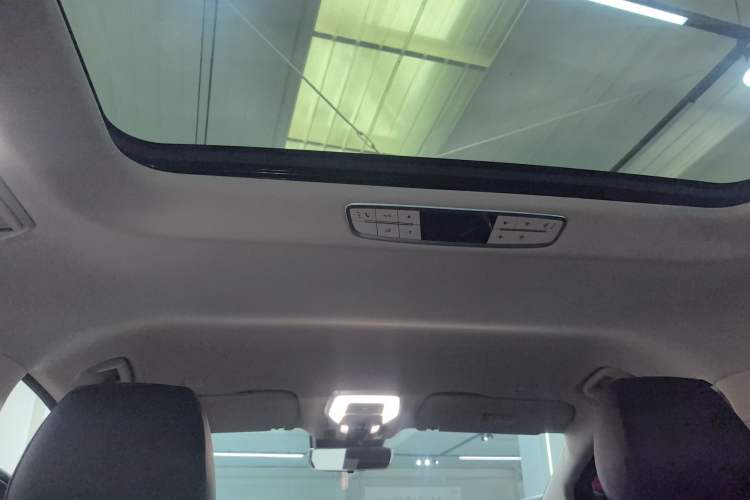 Used Hongqi HQ9 PHEV 2024 2.0T Four-Wheel Drive Business Edition Headliner