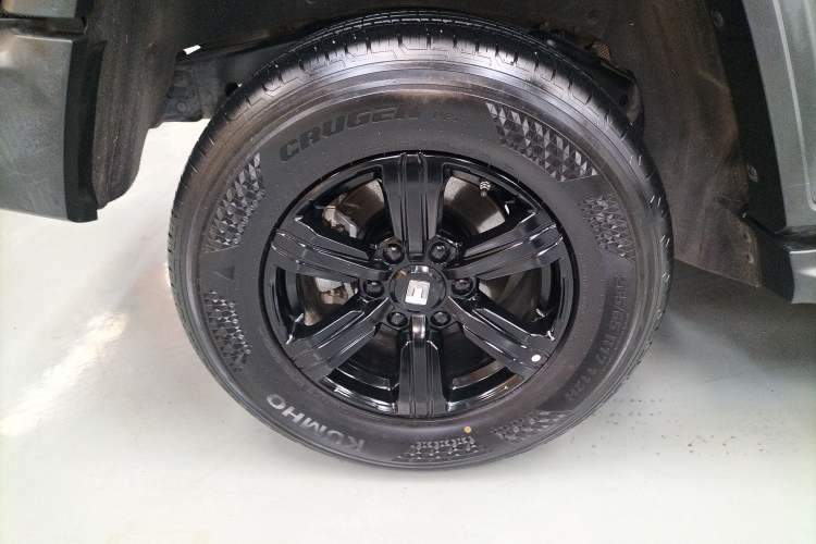 Used Tank 300 2024 2.0T Challenger
