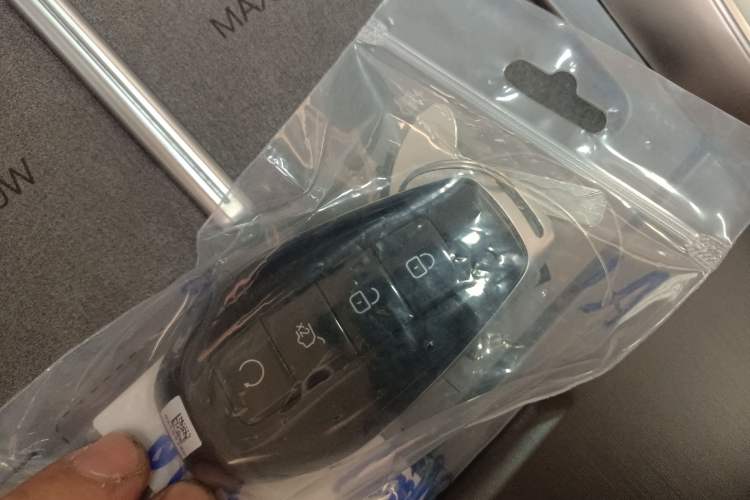 Used Denza N8L 2025 Model Flagship Model