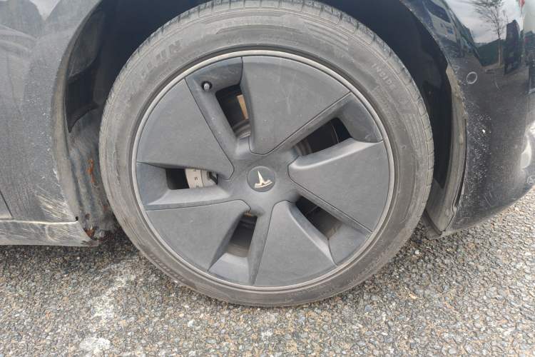 Used Tesla Model 3 2021 Revised Version Standard Range Rear-Wheel Drive Upgraded Edition 3D1