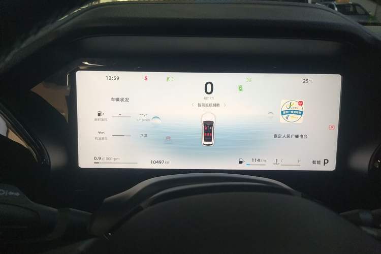 Used Geely Auto Monjaro L 2024 2.0TD High-Power Automatic Two-Wheel Drive Skyline Edition
