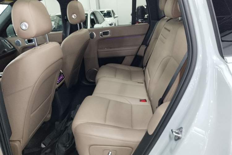 Used Li Auto L6 2025 Max Smart Refresh Edition Left Rear Seat