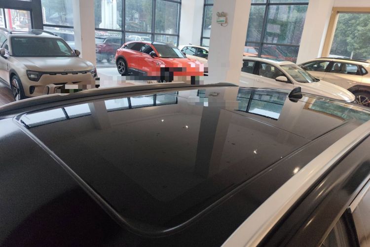 Used Hongqi HS5 2023 2.0T Four-Wheel Drive Flagship Pro Edition Roof