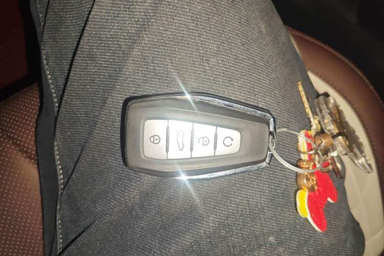 Used Geely Auto Monjaro L 2024 2.0TD High-Power Automatic Two-Wheel Drive Yunqi Version Vehicle Key