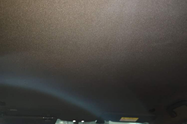 Used BYD Dolphin 2024 Honor Edition 420km Freedom Version Headliner