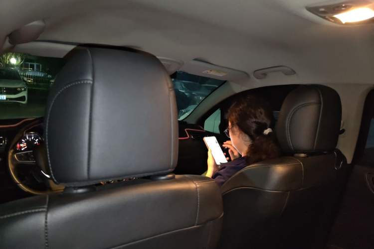 Used Citroen C4 Sega 2016 1.6L Automatic Luxury Model Headliner