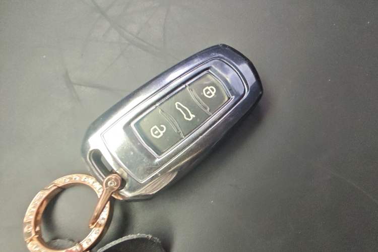 Used Geely Galaxy Panda 2024 Panda Mini 200km Endurance Bear Vehicle Key