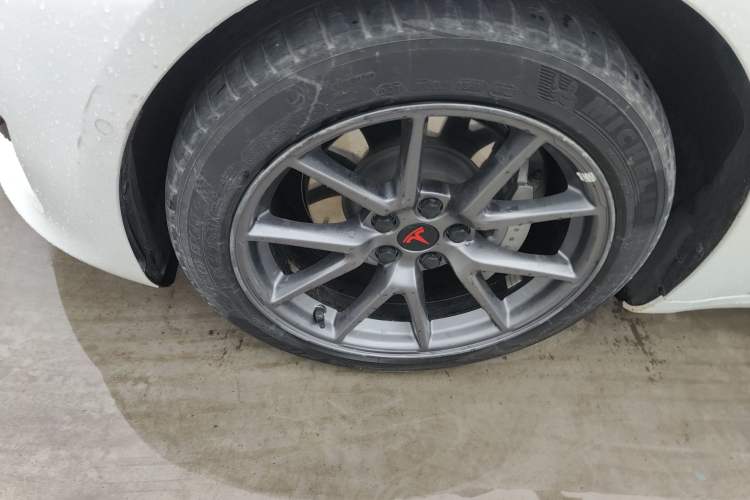 Used Tesla Model 3 2022 Rear-Wheel-Drive Version Exterior 4
