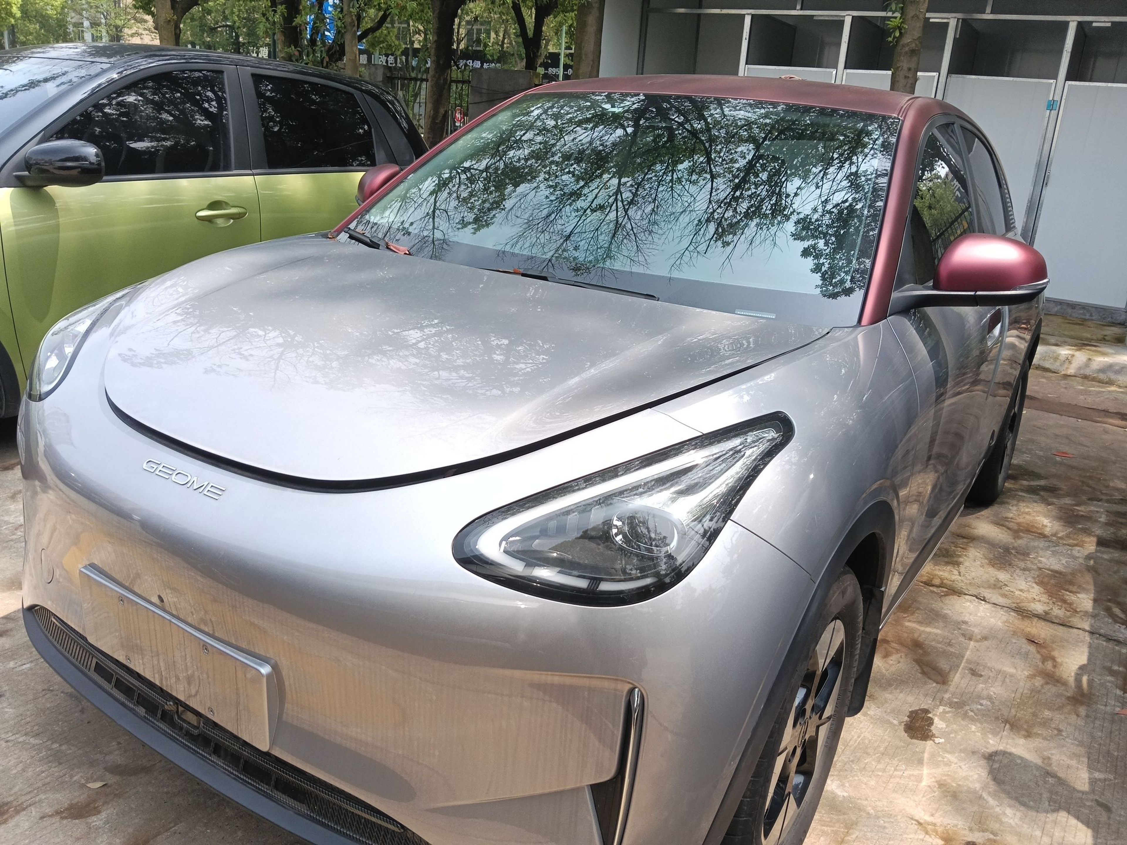 Parte inferior delantera