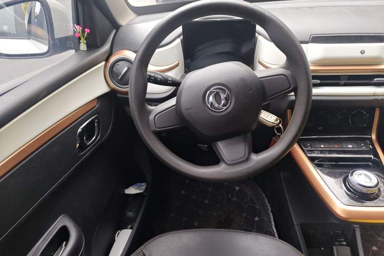 Used Dongfeng NAMMI BOX 2022 Light Wind Edition 201KM Lightning Model
