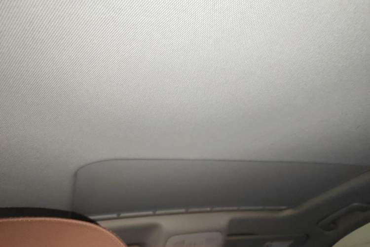 Used Audi A6L 2018 30th Anniversary Edition 35 TFSI Fashion Model Headliner