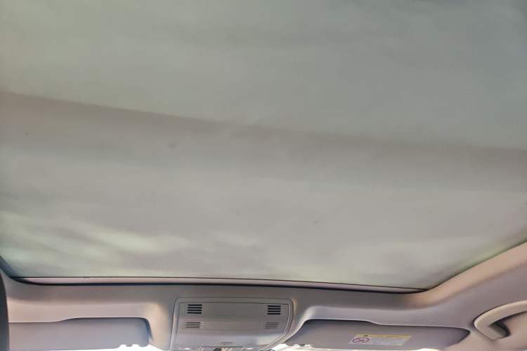 Used Volkswagen Magotan 2018 Facelift 330TSI DSG Luxury Model Headliner