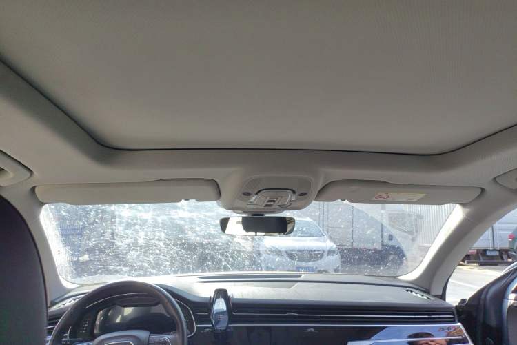 Used Audi Q8 2021 55 TFSI Luxury Dynamic Edition Headliner